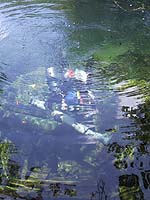sample tube under water