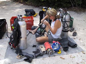 Setting gear